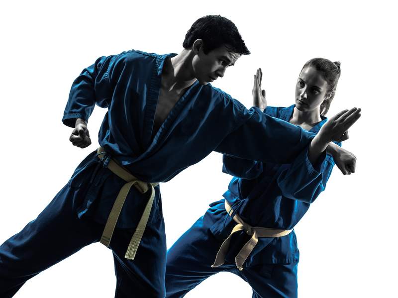 Self defense pour adultes : vovinam viet vo dao