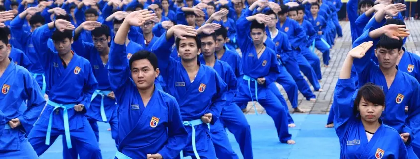 Arts martiaux a Montpellier : cours collectif de Vovinam Viet Vo Dao, technique de blocage